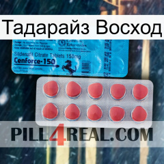 Тадарайз Восход new14